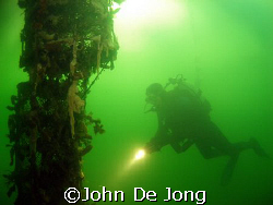 The green colour is tipical for the  Dutch waters. My bud... by John De Jong 